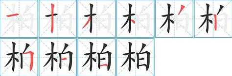 柏 同音字|《柏》的拼音,柏字的意思、组词、部首、笔画、笔顺